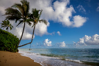 Driftwood Dreams - Oahu, HI