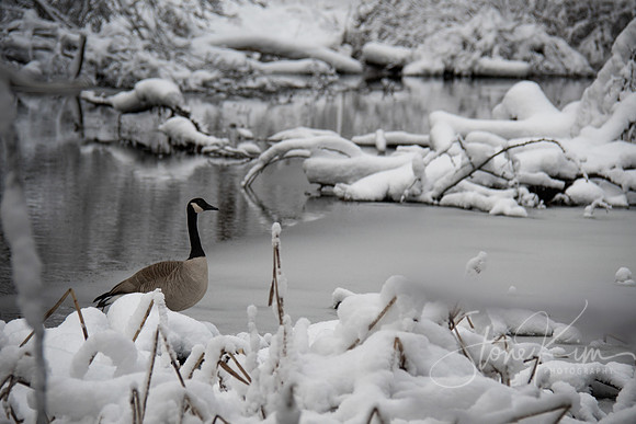 Be Still - West Hartford, CT