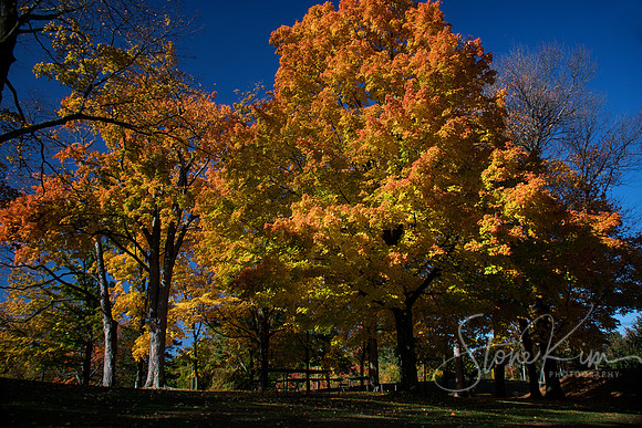 Autumn at Wolcott Park - West Hartford, CT