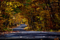 Casting Stripes - Meriden, CT